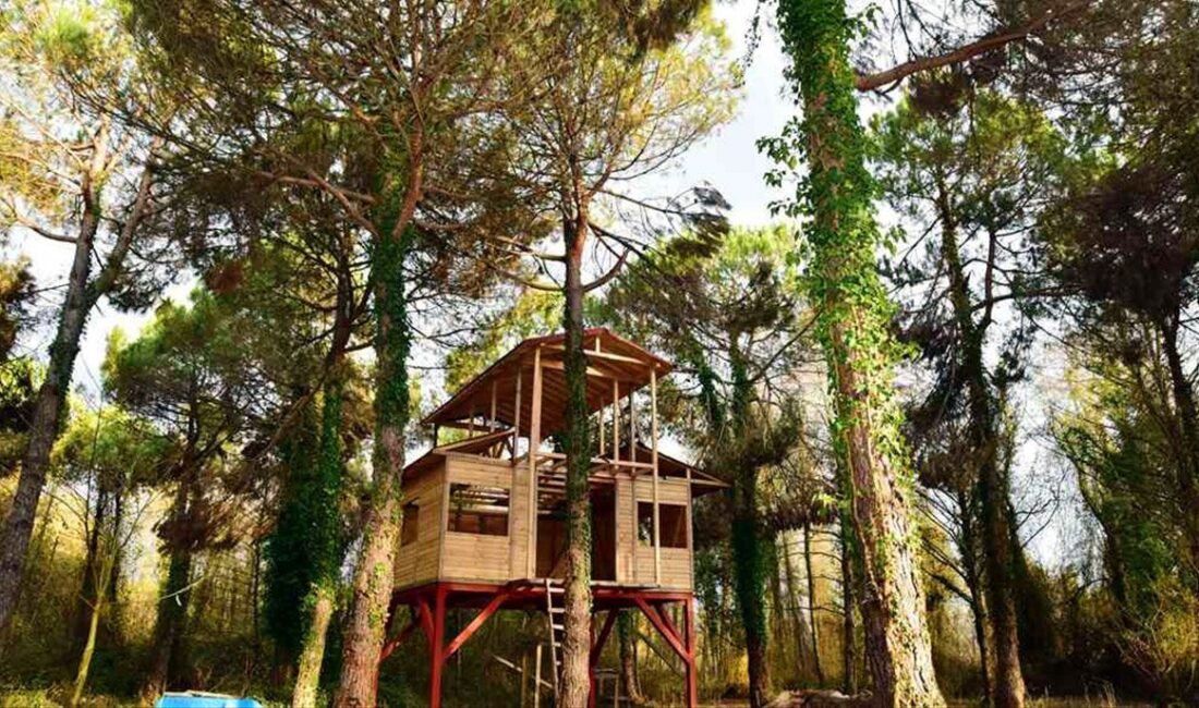 Samsun Büyükşehir Belediyesi’nin Orman ve Su İşleri Bakanlığı’ndan kiraladığı Terme