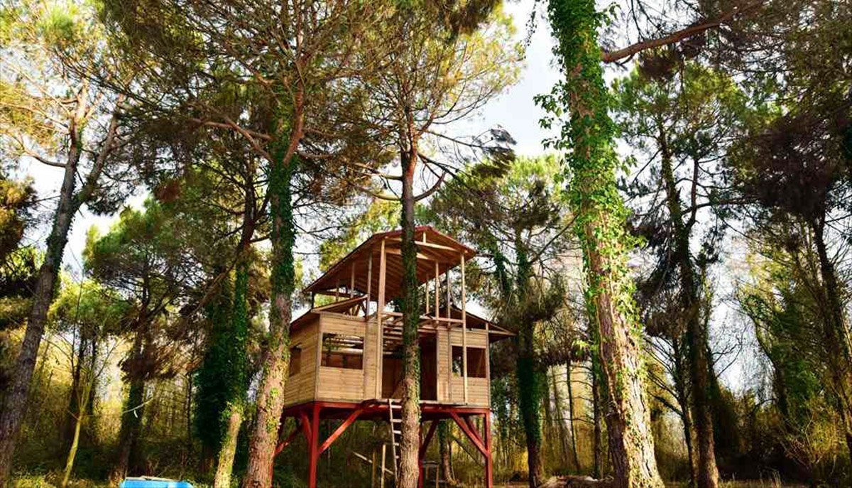 Samsun Büyükşehir Belediyesi’nin Orman ve Su İşleri Bakanlığı’ndan kiraladığı Terme