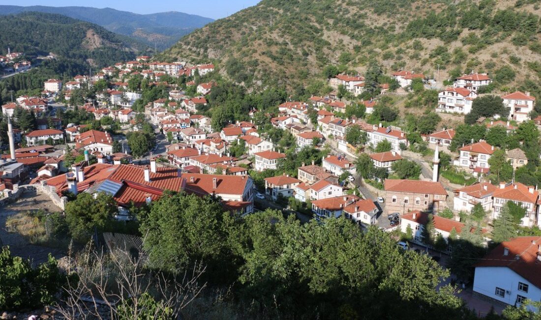 Sahip olduğu doğal güzellikleri, kent dokusu, tarihi ve kültürel mirası