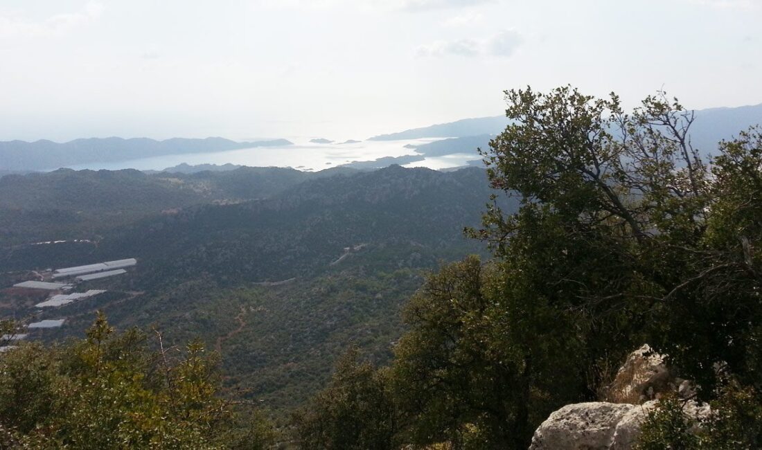 Kültür ve Turizm Bakanlığı, Birleşmiş Milletler Kalkınma Programı ve Anadolu