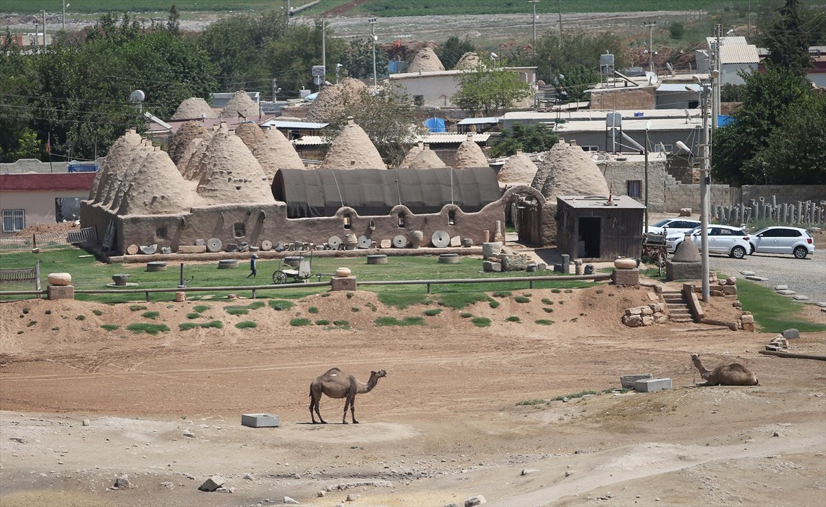 Dünyanın en eski yerleşim merkezleri arasında yer alan Şanlıurfa’nın Harran