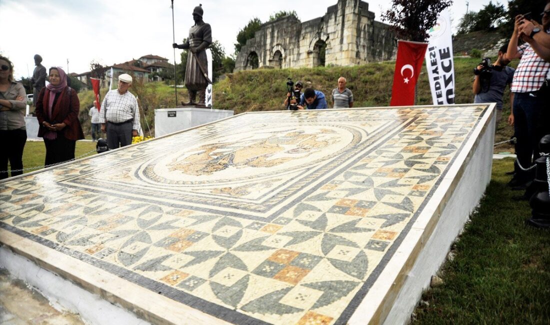 Düzce Belediyesi ve Doğu Marmara Kalkınma Ajansı (MARKA) tarafından, aslan