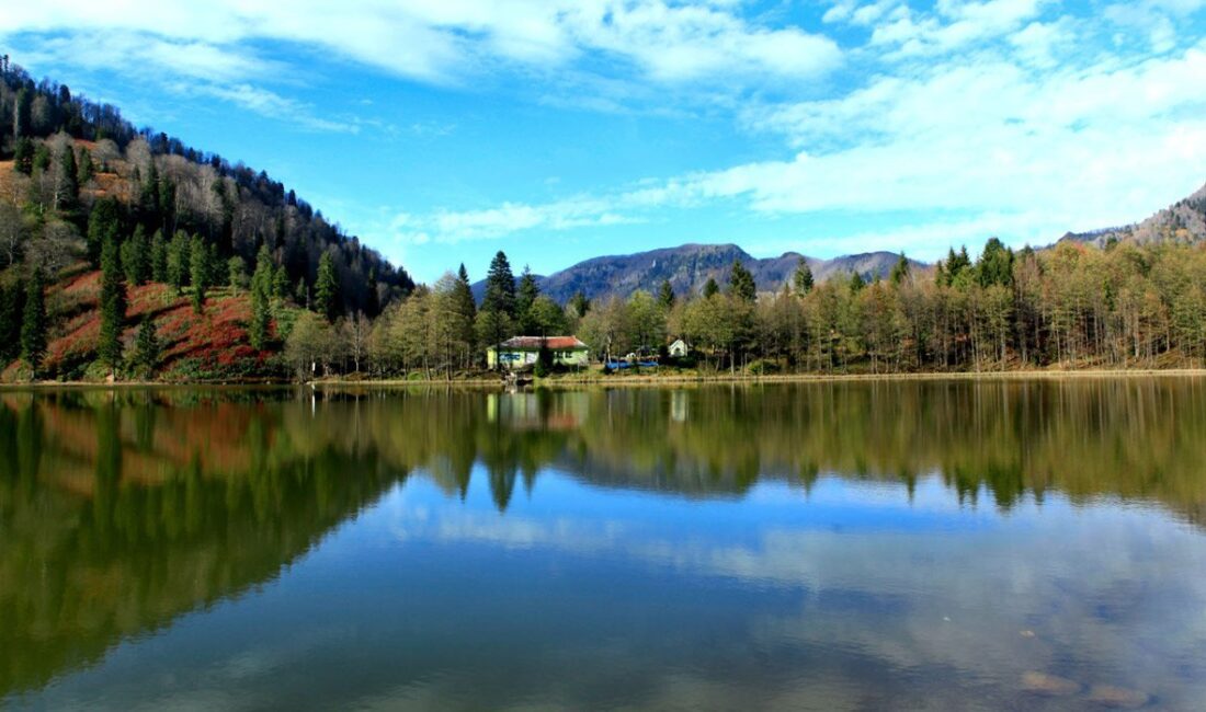 Artvin’in uluslararası araştırma şirketi Euromonitor International tarafından hazırlanan “Dünyada en