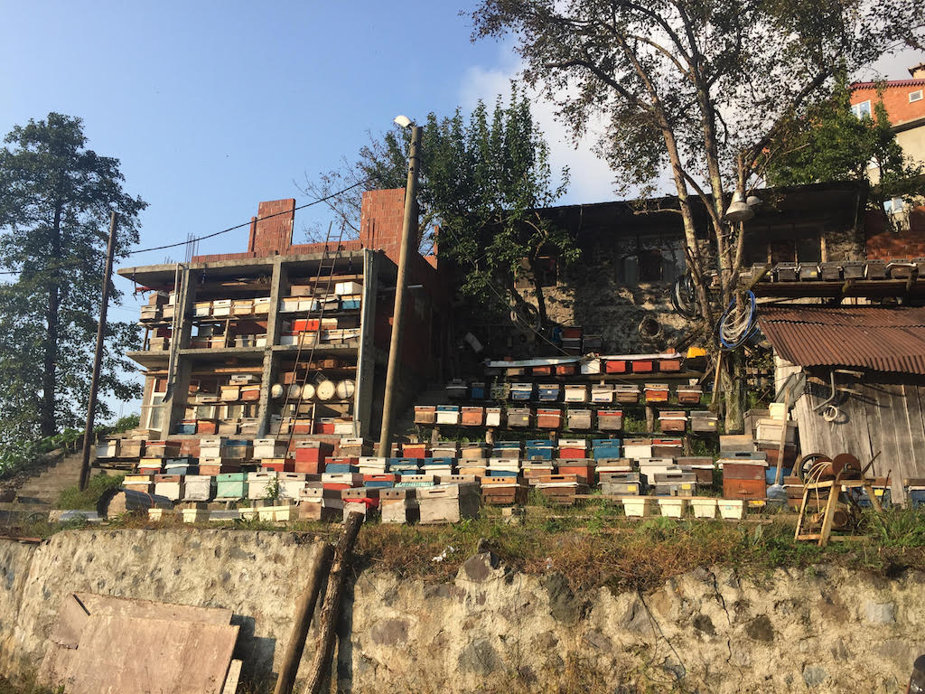AB Erasmus+ Programı kapsamında gerçekleştirilen “Arıları Yaşatalım” projesi için Karadeniz