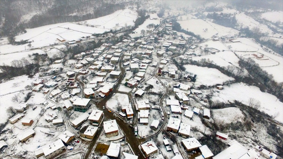 tourmag-longoz-ormanlari