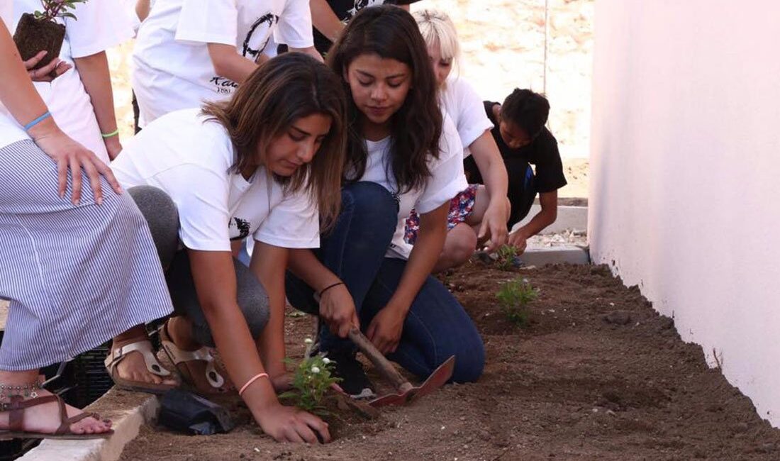 Kırklareli Belediyesi’nin kültürler arası bağı güçlendirmek için düzenlediği Uluslararası Gönüllü