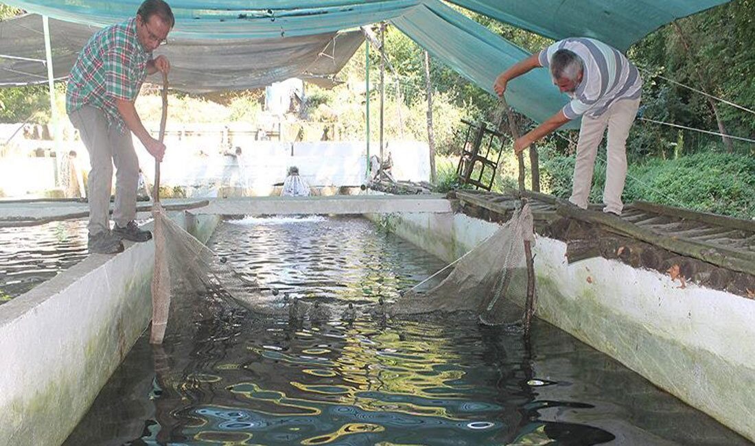 Balıkesir’de su ürünleri mühendisi bir girişimci, Manyas Barajı ve kaynak