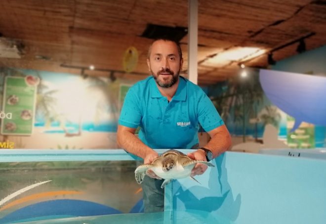 tourmag-caretta-caretta