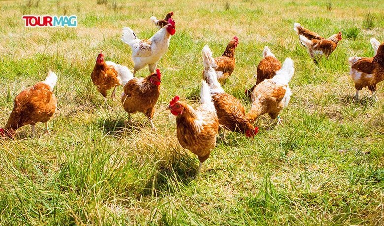 Sorumlu kaynak kullanımında olumlu ve sürdürülebilir bir değişim sağlamak için