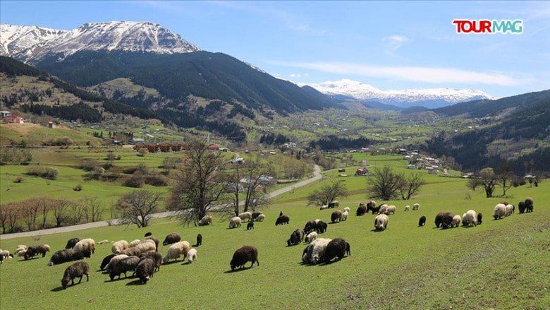 Doğal güzelliği, gölleri, ahşap mimarisi, milli parkları, kendine özgü kültürel