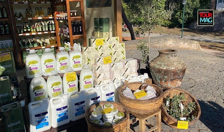 Ayvalık Zeytin Hasadı Festivali Tourmag tourmag-ayvalik-zeytin-hasadi-festivali-