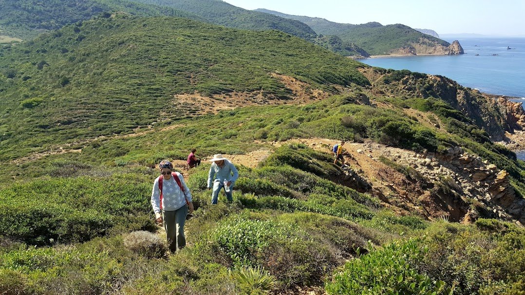 Yenilenebilir enerji, sürdürülebilir turizm ve balıkçılık: Mavi Gelecek Belgeseli, hayatı,