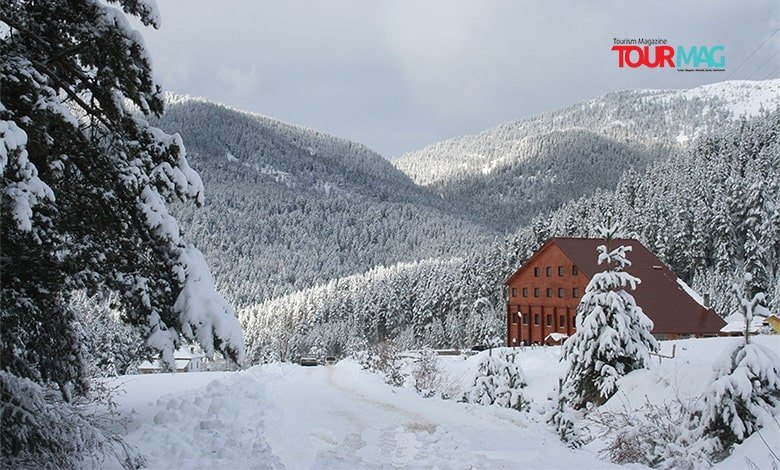 Türkiye turizminin ilk uluslararası otel zinciri olan Dedeman Hotels &