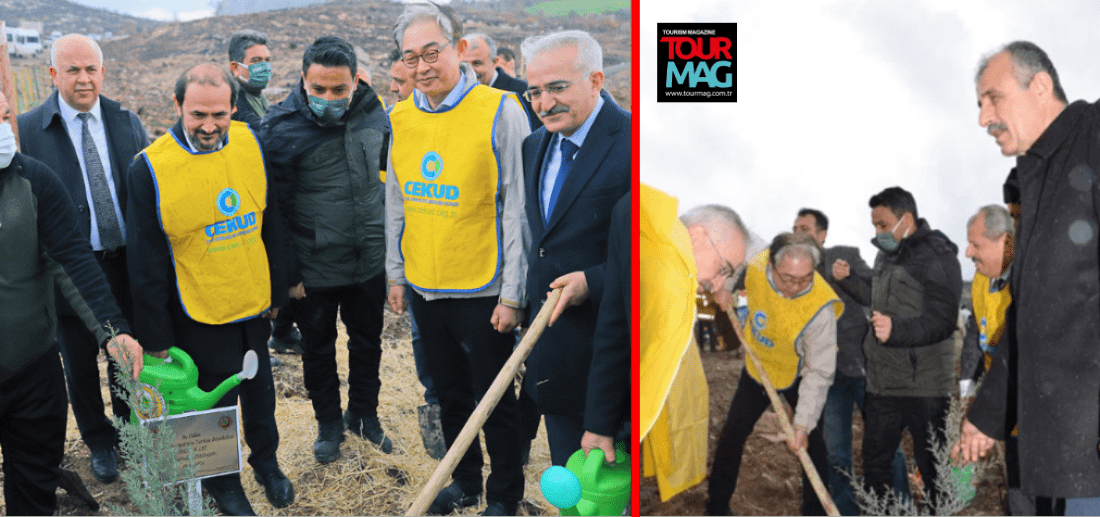 Antalya, Nevşehir, Kilis, İstanbul ve Muğla’da fidan dikimleri gerçekleştirilen Türkiye-Kore