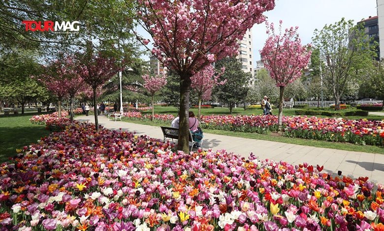 Lale Bayramı Tourmag tourmag-lale-bayrami