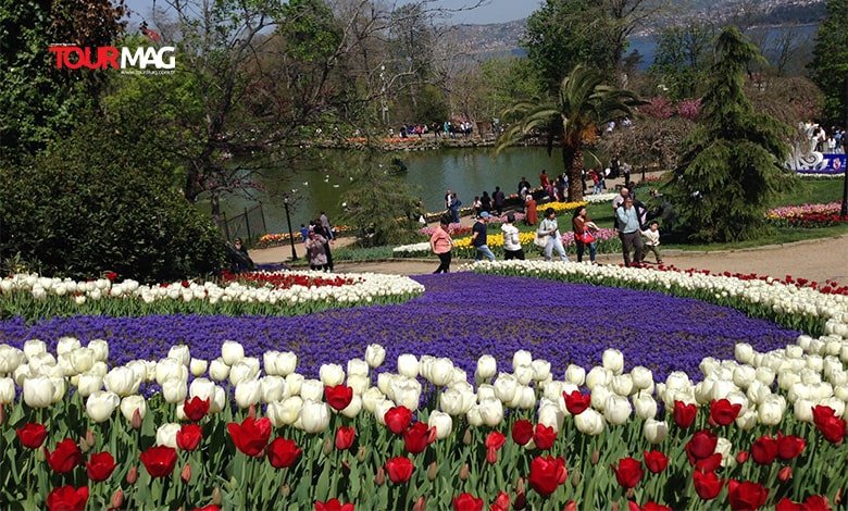 Lale Bayramı Tourmag tourmag-lale-bayrami
