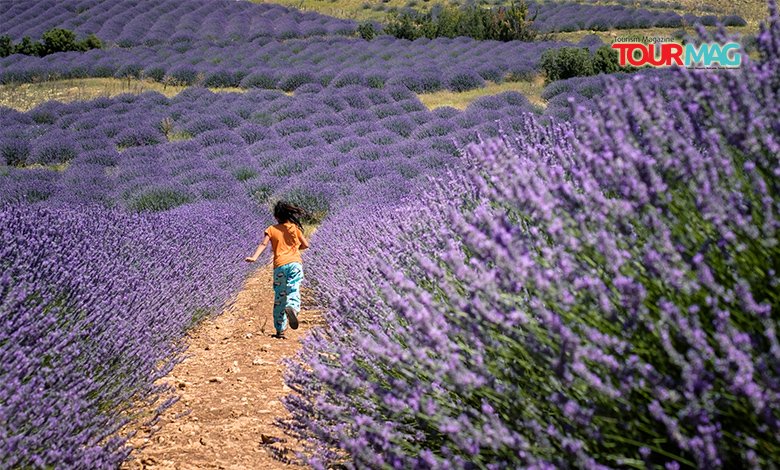 Türkiye’nin değerli bölgelerinde kaliteli tatil deneyimlerine aracılık eden Tatilbudur.com; yine