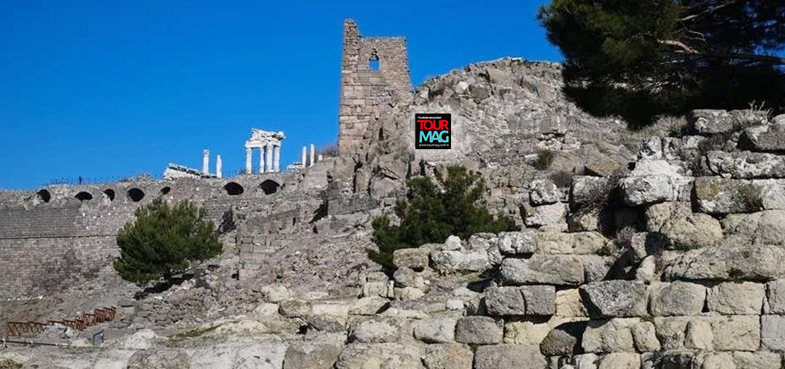 Kültür Varlıkları ve Müzeler Genel Müdürlüğü Kaçakçılıkla Mücadele Daire Başkanı