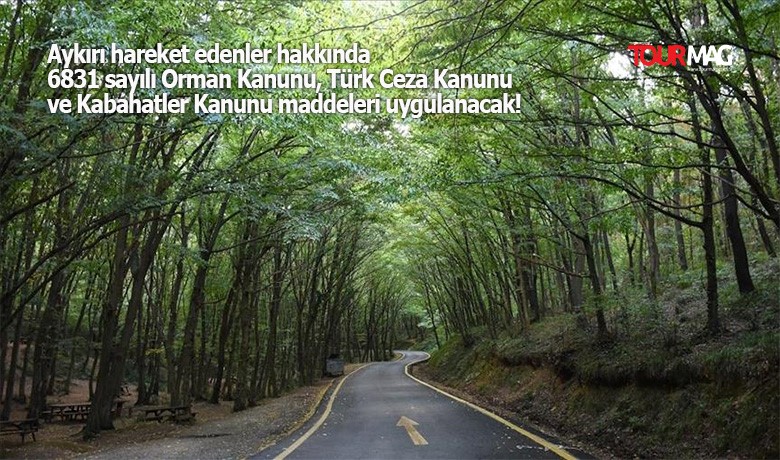 İstanbul Valiliği, orman yangınlarının önlenmesi amacıyla 24 Haziran-15 Ekim arasında