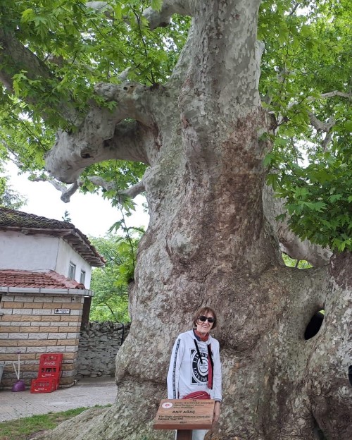 Kırklareli Vize Tourmag tourmag-kirklareli-vize