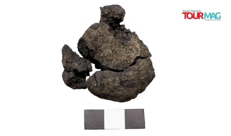 Dünyada kentleşmenin olduğu ilk yerlerden Çatalhöyük’teki kazıda 8 bin 600