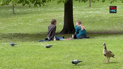 Londra’da bir parkta yürürken aslında sadece yürümüyor; doğanın içine giriyor,